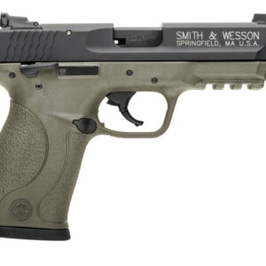 S&W MP22C 22LR 3.56FDE TB