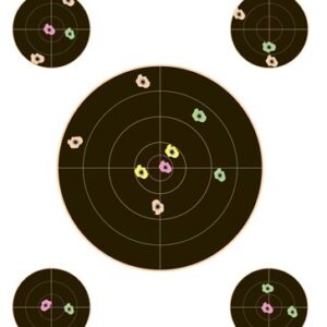 CHAMPION VISICOLOR TARGET - BULLSEYE W/4 XTRA BULLS 10-PK