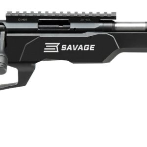 SAV B17 PREC LITE 17HMR BA 10R
