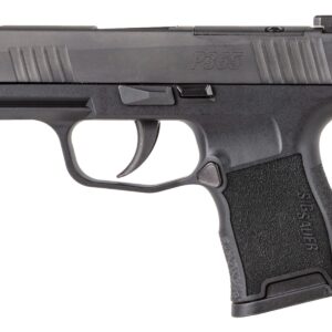 SIG P365 NIT PST 380 10R NS