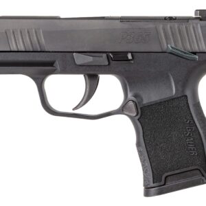 SIG P365 NIT PST 380 10R NS MS