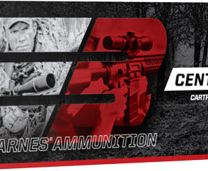 BARNES 300 AAC 120GR JHP FB - 20RD 10BX/CS