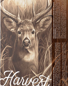 BARNES HARVEST 300 WM 180GR - TIPPED GAMEKING 20RD