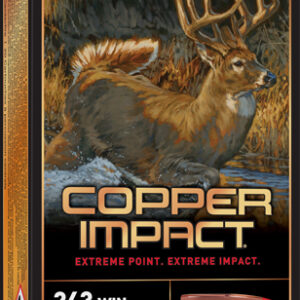 WINCHESTER COPPER IMPACT 243 - WIN 85GR 20RD 10BX/CS