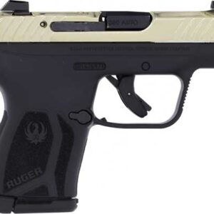 RUGER LCP MAX 380ACP FRONT - NIGHT SGT CHAMPAGNE PVD SLIDE