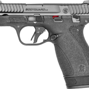 S&W BODYGUARD 2.0 380ACP 2.75" - 10/12 RD MAGS BLACK SAFETY