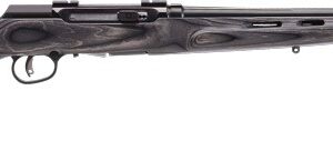 SAVAGE A17 17HMR HVY BBL 22" - ACCU TGR BLU/GRY LAM T-HOLE