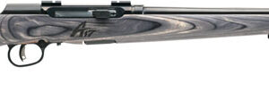 SAVAGE A17 17HMR SPORTER 22" - ACCU TGR BLU/GRY LAM SPORTER