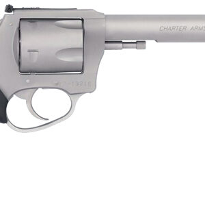 CHARTER ARMS PIT BULL 9MM - 6" ADJ S/S