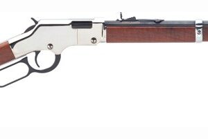 HENRY H4 GOLDENBOY SILVER - 17HMR 20" OCTAGON WALNUT
