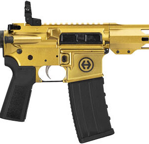 HIPOINT PISTOL HP-15 300 AAC - 10.5" 30RD BLADE BRACE GOLD