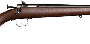 CRICKETT RIFLE G2 22LR - BLUED/WALNUT
