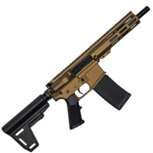 223WYLDE PSTL W/BRC 30RD BRZ