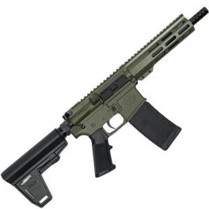 223WYLDE PSTL W/BRC 30RD ODG