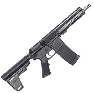 223WYLDE PSTL W/BRC SS 30R BLK