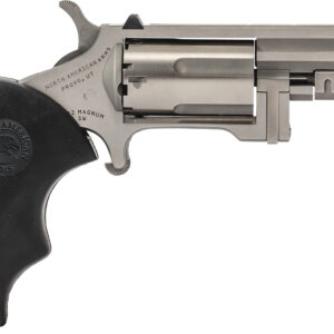 NAM RECLUSE 22M SS 2IN NS