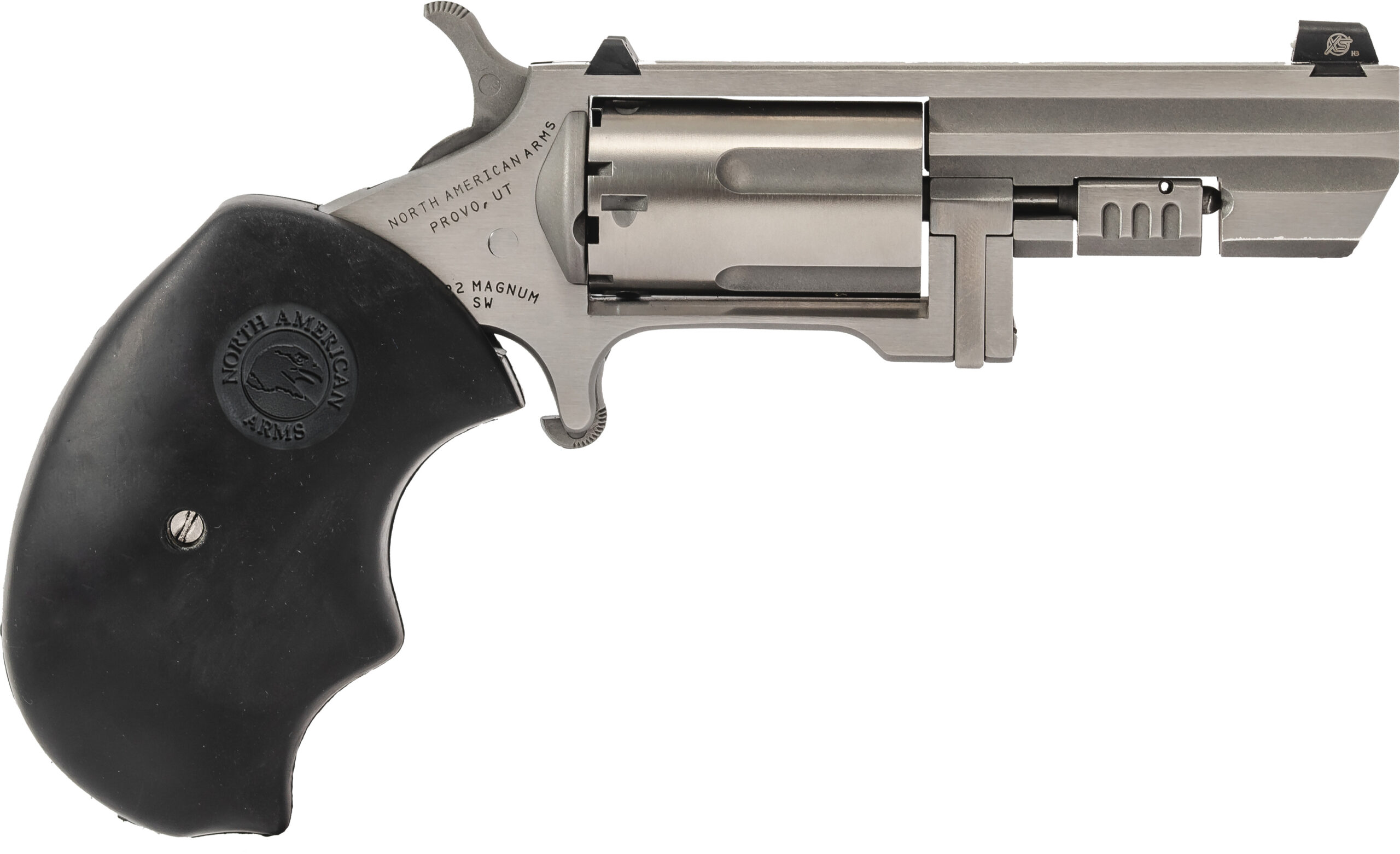 NAM RECLUSE 22M SS 2IN NS