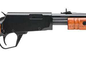 BRZ ROSSI GALLERY 22LR RFL WD