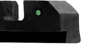 XS R3D SIG P225P226P229P320 - SPRG XDXDMXDS FN 509 ORANG