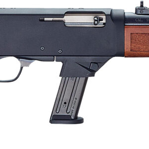 HEN HMESTD 9MM RFL WAL SMW 10R