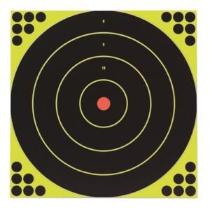Birchwood Casey Shoot-N-C 12" Bull's-eye 12/ct