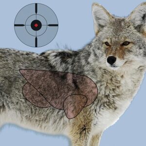 Birchwood Casey Pregame Targets - Coyote 16.5"x24" 3 Pack