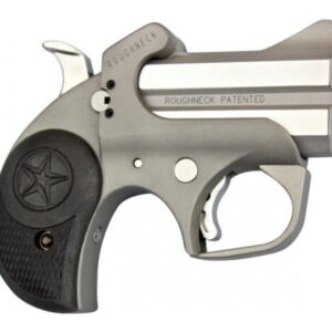 Bond Arms Roughneck Derringer 9mm Luger 2rd Capacity 2.5" Barrel