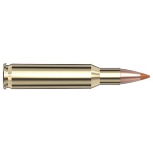 Hornady Superformance Rifle Ammunition .222 Rem 35 gr NTX 3760 fps - 20/ct