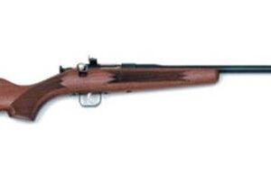CHIPMUNK 22 LR DELUXE WALNUT BLUED