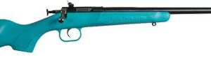 Crickett Blue Synthetic Stock Rifle .22LR Single Shot 16.125" Blued Barrel