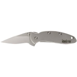 Kershaw Ken Onion Chive Folding Knife 1-9/10" Drop Point Blade Silver