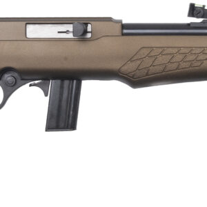 BRZ ROSSI RS22 22LR 18BRZ 10RD