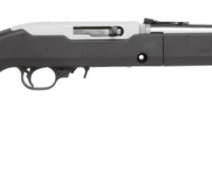 RUG 10/22 TD 22LR 10RD SS DE