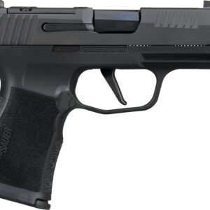 SIG P365XL COMP 380 12R XRY