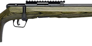 SAVAGE B17 TIMBER TACTICAL - 17HMR 18" BLACK/GREEN LAMINATE