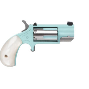 NAM PUG 22M SS 1IN HB FS TQ DE