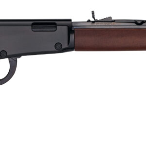 HEN FRONTIER LVR 17HMR